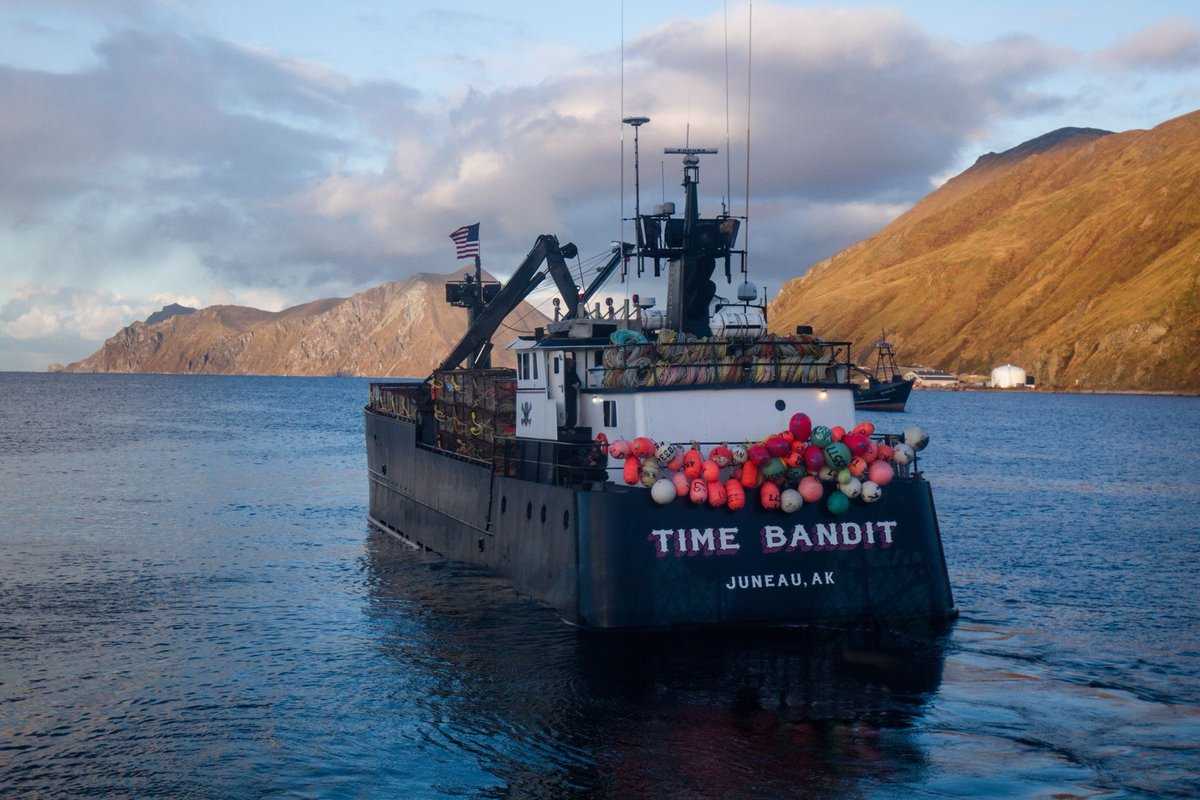 time bandit for sale 2020