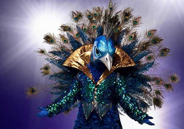 Masked Singer Peacock unmasked: The Peacock on The Masked Singer may have been revealed!